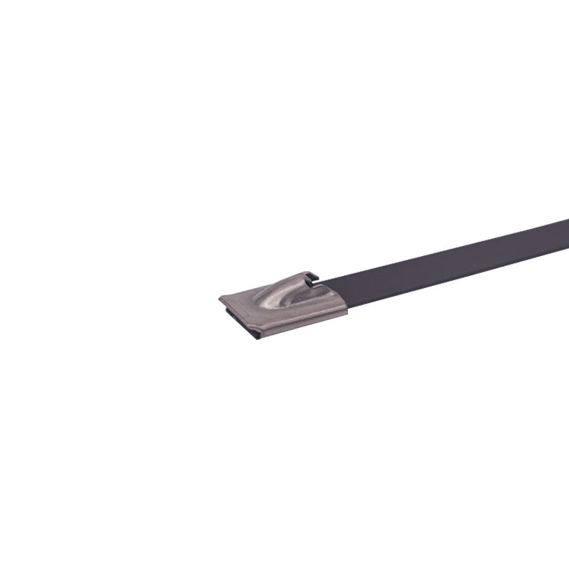 SS-8X300/VC 300mm STAINLESS STEEL CABLE TIE