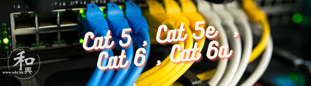 What are Cat 5, Cat 5e, Cat 6, and Cat 6a? What are the differences between them?